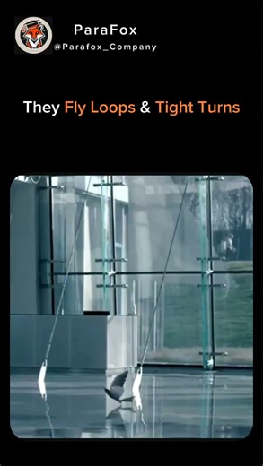 These Robot Birds Fly Like the Real Thing 🐦🤖