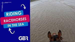 882 reactions · 169 shares | What happens when you take stars from different equestrian disciplines down to Christian Williams Racing to ride racehorses on the beach ⁉️️ #NationalRacehorseWeek | Great British Racing | Facebook