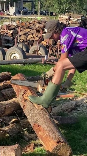 Cut Sequence — Kinetic Study in Timber and Torque