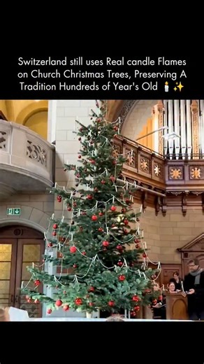 feelings on Instagram: "Most people have never seen a Christmas tradition this bold, this ancient, or this dangerous 🕯️🔥 Long before electricity existed, European families lit their Christmas trees with real candles. Over time, almost every country replaced the practice with safer electric lights to avoid fires, but Switzerland preserved one of the oldest holiday rituals in Europe. In select Swiss churches, this method, known as candle-lit tree lighting, is still performed exactly as it was ce
