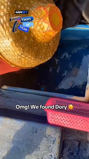 Mysterious things - New perspective on Instagram: "⚓️💀 Follow us @oceansspectrum for more! ✅ In Japan, "power-generating floor tiles" that generate electricity simply by walking on them have been put into practical use. These tiles utilize the piezoelectric effect; when a person steps on them, they flex slightly, instantly converting the pressure into electricity. While the amount of electricity generated per step is very small, in areas with extremely high foot traffic, the amount of electrici