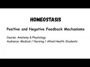 Homeostasis Explained | Positive & Negative Feedback Mechanisms | Anatomy & Physiology