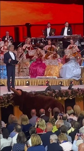 Andre Rieu live with the bull😂live in concert