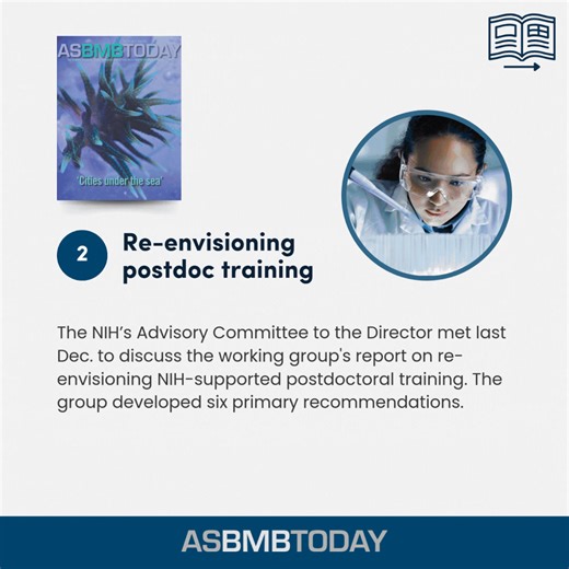 🎉 The ASBMB Today website posted more than 400 original articles in 2024! These news stories and essays were written by our volunteer contributors and careers columnists, by science writer Marissa Locke Rottinghaus and other ASBMB staff, by contractors, by society members and by other interested scientists. To those that made this year's articles possible — thank you for all your hard work and coverage of cutting-edge research and the trials and triumphs of making a life in and around the lab! 