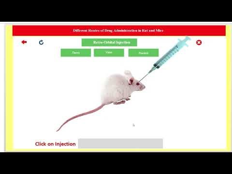 Routes of Drug Administration in Rats and Mice | Demonstration Using Expharm Software