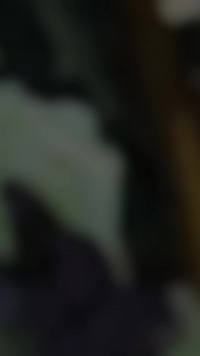 #MujAr lovers❤️✨#moiezgujjar01 @🦅بٹ بادشاہ👑