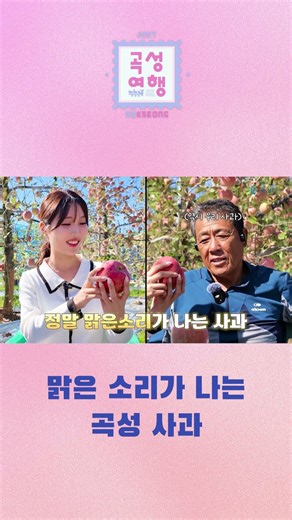 맑은 소리가 나는 곡성 사과