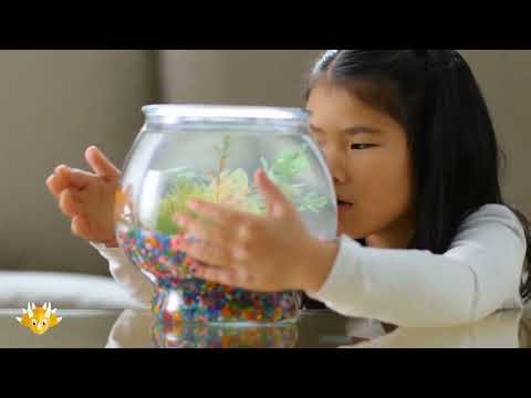 Learn Slovak for Kids: Animals | Online Slovak Lessons for Children
