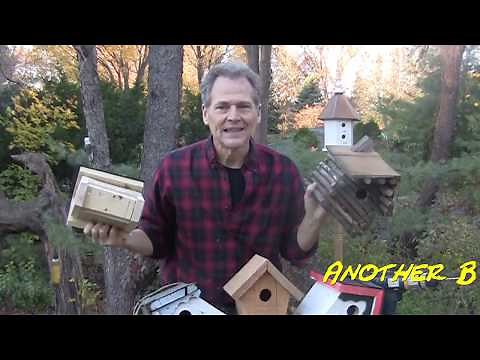 How to Build a Bird house, Simple and Cheap!!! A DIY project