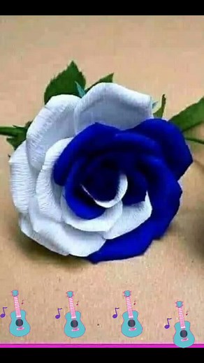 Vibrant Flower Close-Ups: A Visual Symphony