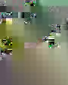 📣 ONLINE RAFFLE IS NOW OPEN ✨ Nike Air Force 1 Low LX 'UV Reactive' Colour Changing Sneakers ✨ Featuring photochromic inks that give the shoe a new multicolor look when exposed to UV light. These color-shifting embellishments give the wearer a different look depending on if they’re inside or outside. It appears as a variation of the Air Force 1’s “White on White” colorway when not in contact with UV rays. When exposed, the forefoot, eyelets, mid-panel, collar, and heel adjust into various shade