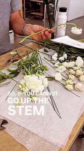 275K views · 3.4K reactions | HYDRANGEA UPDATE  We recently shared...