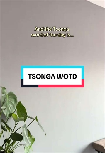 Tsonga Word of the Day: Siku rinwana — Keep Doing What You’re Doing