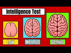 Only 9% Can Pass This Intelligence Test – Can You?