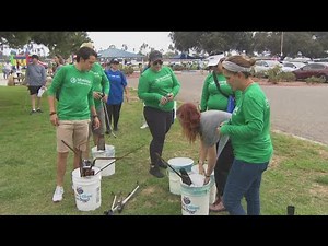 Working For Our Planet | Volunteer for an organization dedicated to our environment