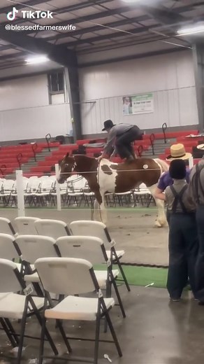 BLESSEDFARMERSWIFE on TikTok