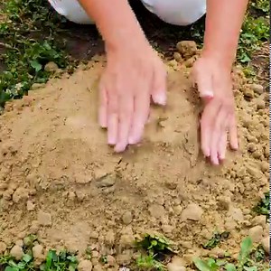 48M views · 94K reactions | How to make a beautiful cement fountain for your backyard ⛲️ | 5-Minute Crafts | Facebook