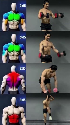 ALL BODY HOMEWORK OUT 💪#fitness #bodybuilding #ytshorts #shorts