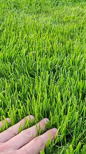 218K views · 532 reactions | Building a whole house in one minute! | Crafty Panda | Facebook