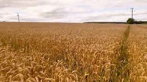 Check out the video about the possibly smartest flour mill in the world, which is in operation at our customer Whitworth Bros Ltd, one of the UK's biggest flour producer. Don’t miss the opportunity to enjoy an insightful exchange with our experts to talk about your business needs. Book your 1:1 meeting now at https://bit.ly/futureofmillingisnow #innovationsforabetterworld #wetransformmilling | Bühler Group