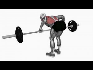 Barbell Pendlay Row - Proper Form & Technique [4K]