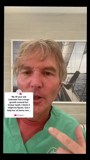 Dog with mouth tumour (Epulis)- Top 3 Home Remedies #cancer #tumor #dog #homeremedies | Dr. Andrew Jones - Veterinary Secrets