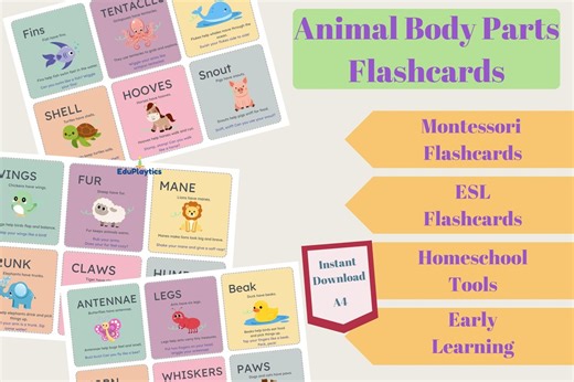 Animal Body Parts Flashcards for Kids | Printable Preschool Learning Cards | Digital Download - Etsy
