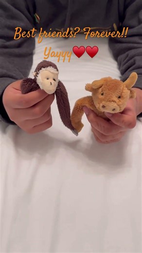 Mr monkey jox and mr moo moo qnd bff’s FOREVER