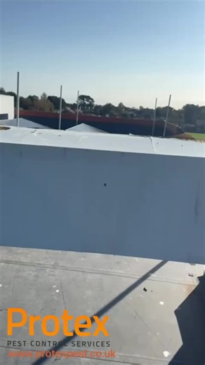 #birdproofing #facilitiesmanagement #commercialproperty #birdcontrol #pestcontrolsolutions | Protex Pest Control Services Ltd