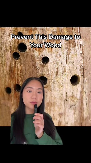 Prevent Carpenter Bees: Tips for a Bee-Free Home