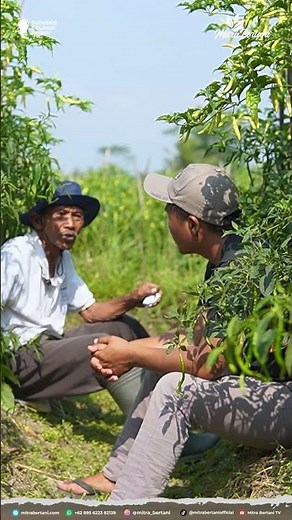 THE BEST WAY TO RAISE SOIL PH #soilph #acid #calcium #proudtobeafarmer