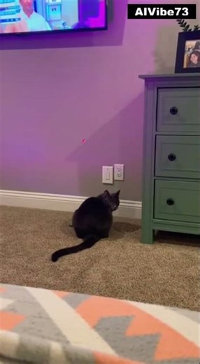 Smartest cat vs. Laser pointer (Ending is pure chaos)