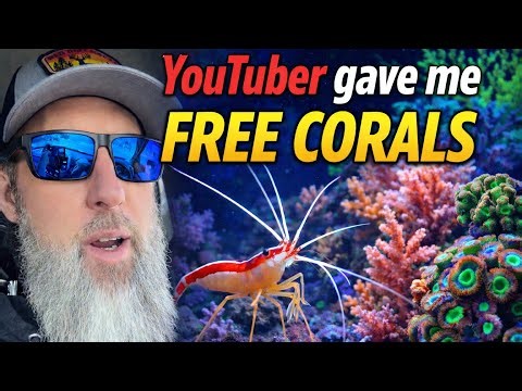 He Actually Gave Me This For FREE! 🤯