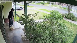 Frustrated Home Owner Uses Cat Poop to Deter Package Thieves