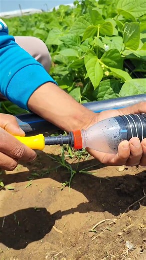 How to Build a Simple Irrigation System with Recycled Materials