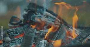 Warm Cozy Burning Fire Logs. Camping fire details with flames and burned logs and ash in 4k slow motion
