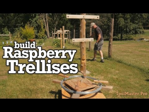 Garden Game-Changer: How To Build A Raspberry Trellis