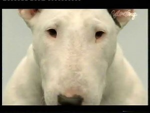 Boomerang UK - Continuity (2005, PART 4)