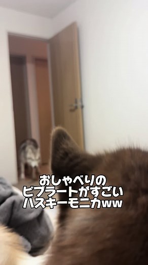 おしゃべりのビブラートが魅力的なハスキーのモニカ