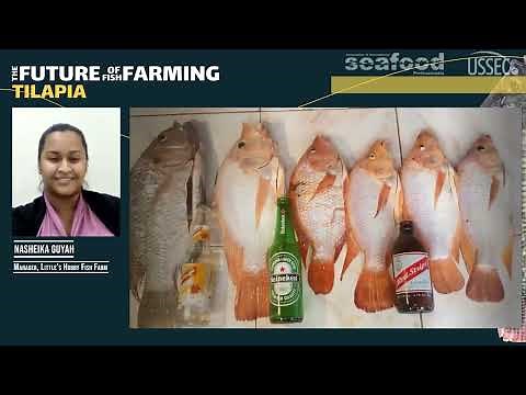 Tilapia Farming in Jamaica with Nasheika Guyah