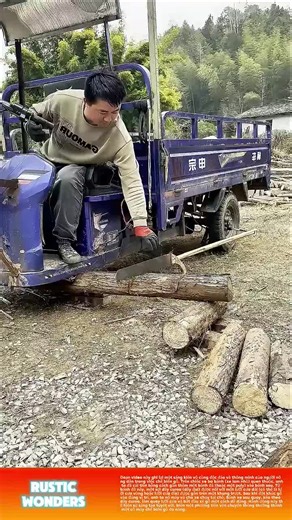 Exploring the Magic of Balli Bot Mogis