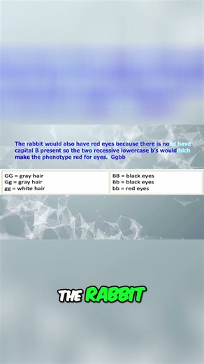 Genetics Explained: How Genes Shape Traits (Hair & Eyes!) #shorts
