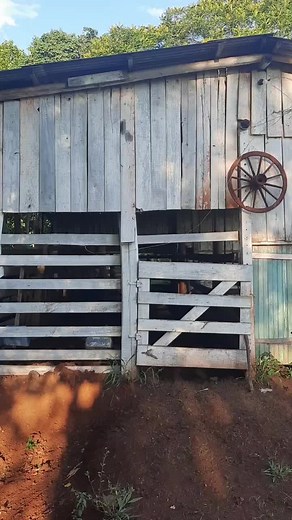 Exploring a Charming Rustic Wooden Barn