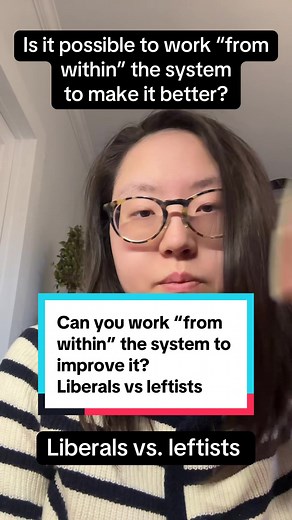 Replying to @Bea Neilson the political philosophy of liberals versus leftists — and why it may not be possible to work “from within” the system to improve it. #politicalphilosophy #leftist