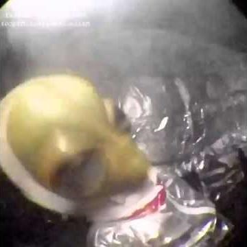 LIL MAYO UFO BURN RIDE