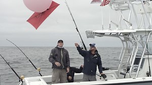 60 reactions | It's time to go big or go home. Big Southern California bluefin or bust. With our friend Damon of Nomad Design Australia out in our waters, we had to show him what SoCal fishing is all about. It's all or nothing this Sunday at 7AM on the Discovery Channel #LocalKnowledgeTV | Local Knowledge | Facebook