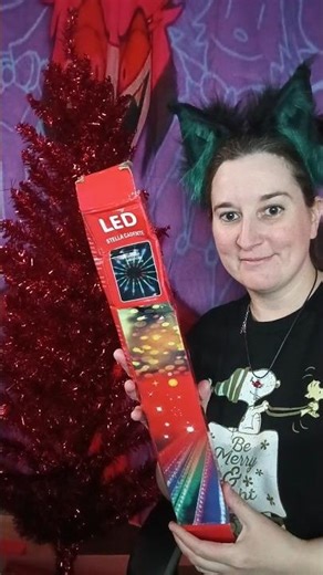 Putting on the lights and tinsel on my Christmas Tree