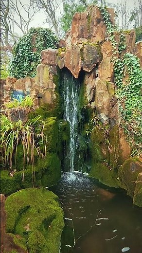 Chinesischer Garten Frankfurt | asian spring 4K