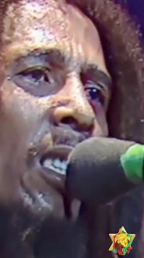 Rare video of @BobMarley performing #RedemptionSong LIVE on June 13, 1980 - Westfalenhalle, Dortmund, Germany #Uprising Tour "Emancipate Yourselves From Mental Slavery, None But Ourselves Can Free Our Minds" - #BigUp @bobmarleyarchive #BobMarley #TuffGong #Marley #reggae #reggaemusic #rastafarijamsreggaeradio #rastafarijams #reggaeradio #spreadlovelikevirus #onelove #lionorder | Rastafari Jams