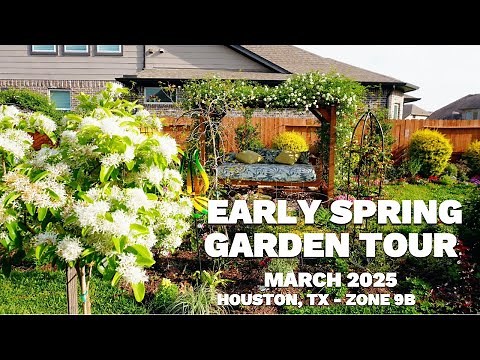 Early Spring Garden Tour in Houston, TX, Zone 9b | What is Blooming at the End of March 2025